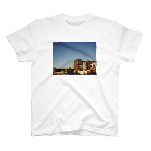 フォト/オランダ風景1 スタンダードTシャツ