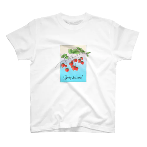 springTシャツ スタンダードTシャツ