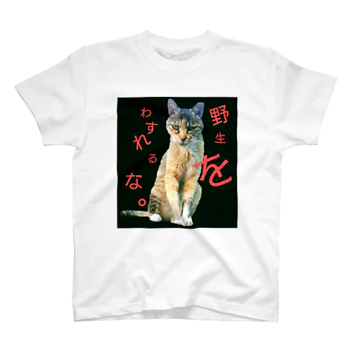 散歩の途中でシリーズ 猫。 スタンダードTシャツ