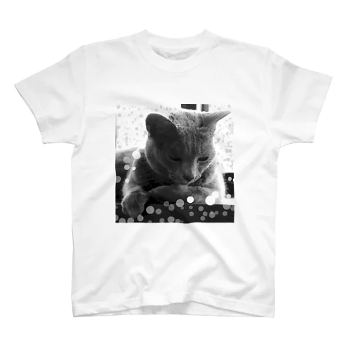 自粛猫　シリーズ スタンダードTシャツ