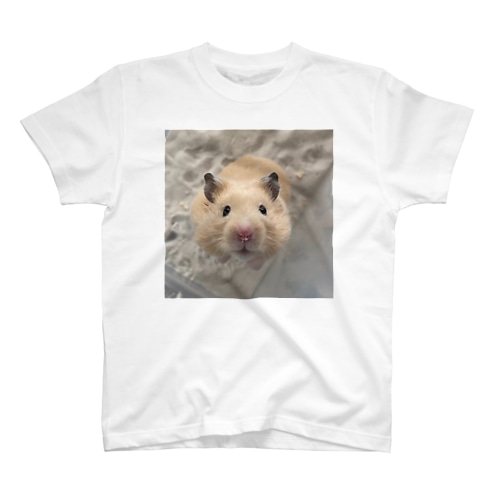 うちのハム Regular Fit T-Shirt