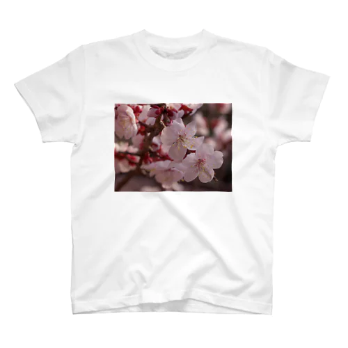 梅　ウメ　Japanese　apricot DATA_P_155　春　spring Regular Fit T-Shirt