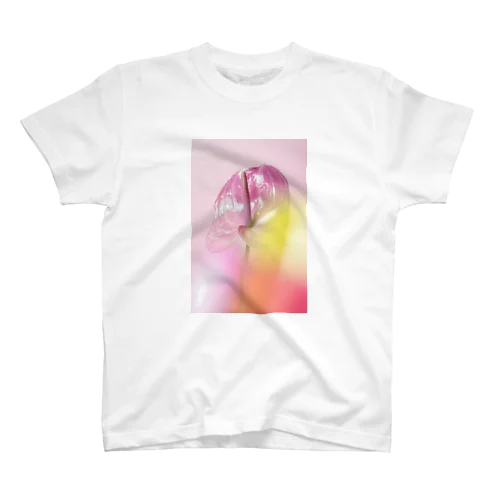 花の写真(アンスリウム) Regular Fit T-Shirt