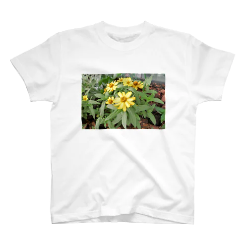 初夏の花壇 スタンダードTシャツ