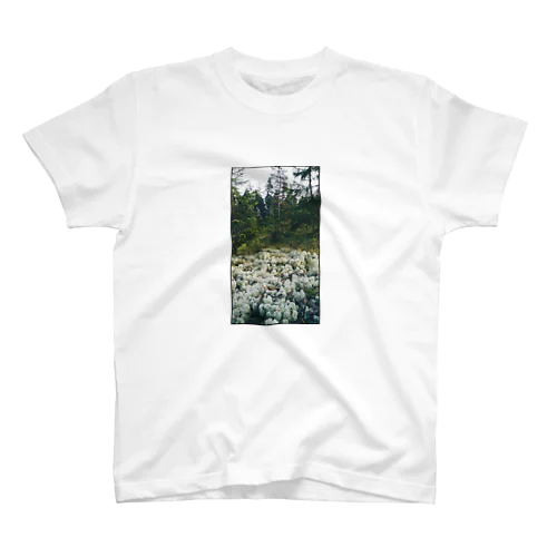 湿地 T Regular Fit T-Shirt