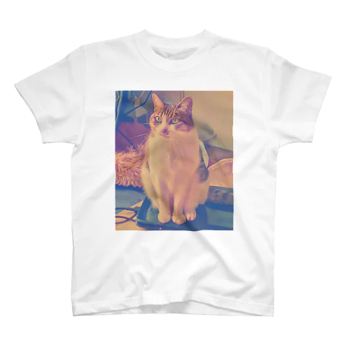 うちのねこ Regular Fit T-Shirt