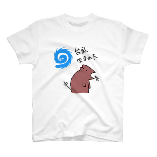 台風生まれた スタンダードTシャツ