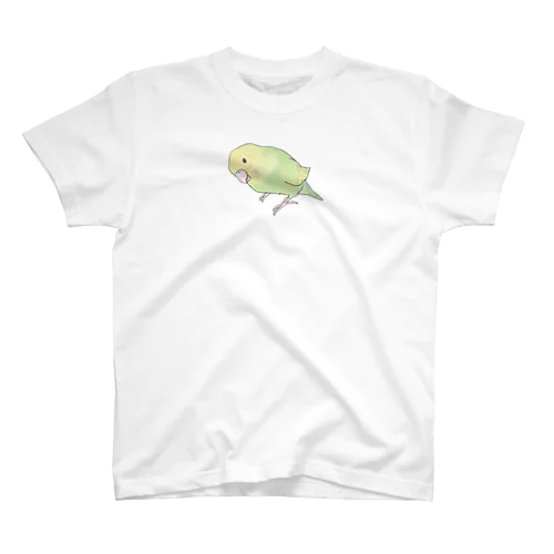 首傾げ　スパングルセキセイインコちゃん【まめるりはことり】 スタンダードTシャツ