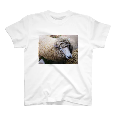ヒツジくん Regular Fit T-Shirt