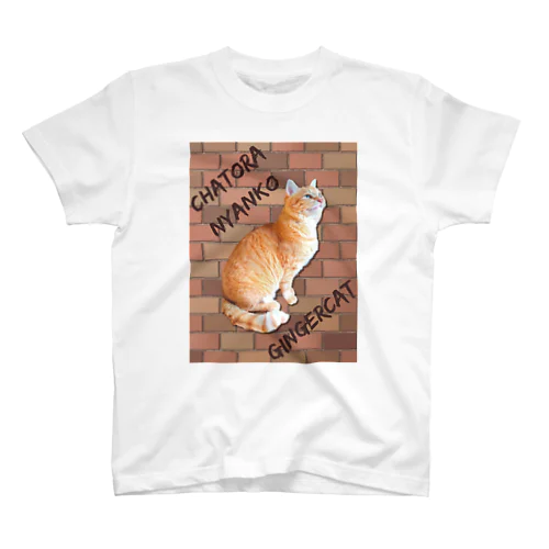 茶トラにゃんこ Gingercat 文字入り スタンダードTシャツ