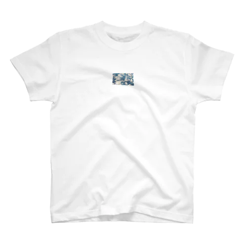 おおぞら Regular Fit T-Shirt