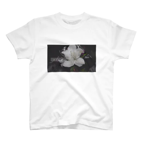 xlion-Flower （前面プリント） スタンダードTシャツ
