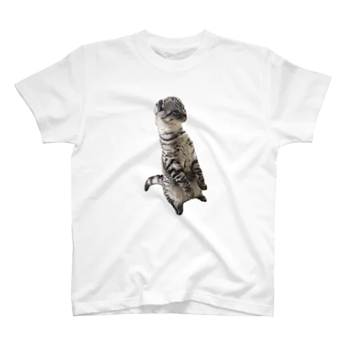 立つねこ Regular Fit T-Shirt