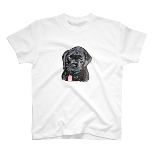 ラブのダミアン Regular Fit T-Shirt
