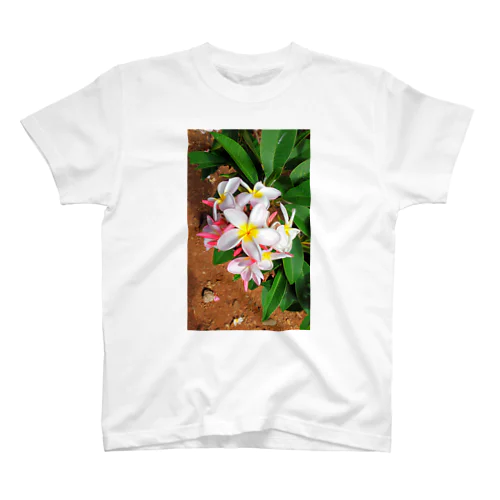 プルメリア🌺 スタンダードTシャツ