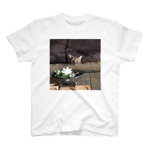 猫　Kibi Regular Fit T-Shirt