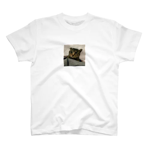 世界一可愛い猫のグッズ スタンダードTシャツ