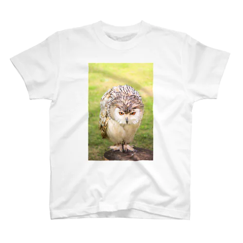 猛禽類 フクロウ Regular Fit T-Shirt