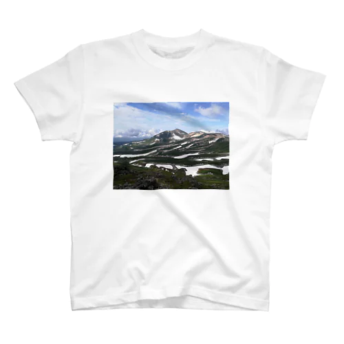 大雪山のシマウマ模様 Regular Fit T-Shirt