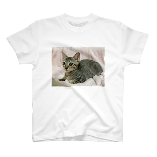 キジトラ(*ΦωΦ)leeﾘｰ Regular Fit T-Shirt