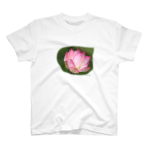 美しき花 スタンダードTシャツ