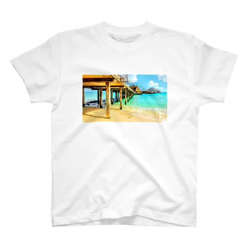 Hawaiiビーチ🏖 スタンダードTシャツ