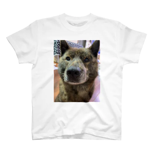 龍馬ちゃん Regular Fit T-Shirt
