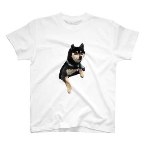 shibainuうちの子2 Regular Fit T-Shirt