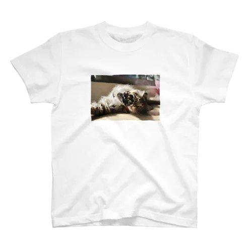 うちのねこ９ Regular Fit T-Shirt