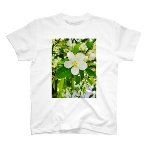 リンゴの花 Regular Fit T-Shirt