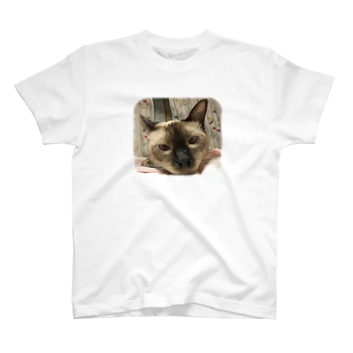 シャム猫ちゃん Regular Fit T-Shirt