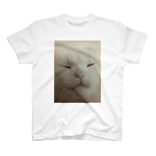 nekosama スタンダードTシャツ