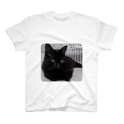 黒猫ちゃん スタンダードTシャツ