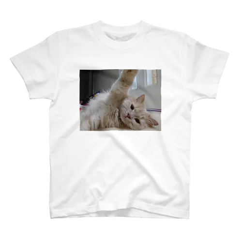 ねこハーイ Regular Fit T-Shirt