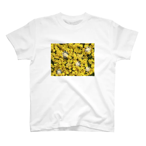 黄色いお花といたずら書き Regular Fit T-Shirt