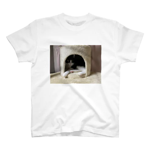 てすと Regular Fit T-Shirt