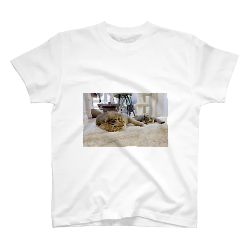 cats Regular Fit T-Shirt