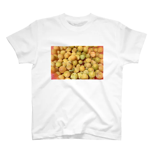 Mirabelles スタンダードTシャツ