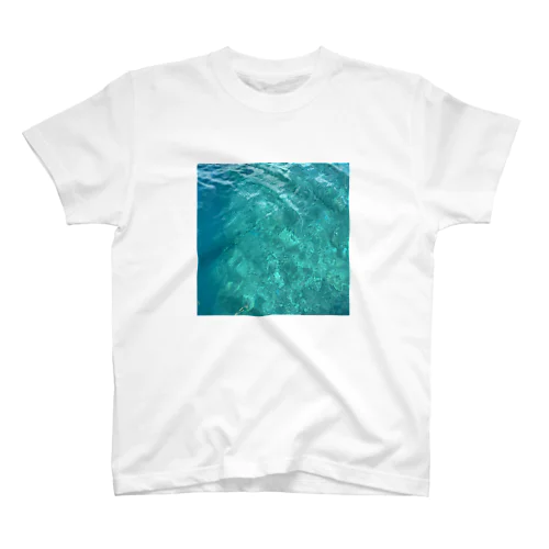 珊瑚のある海 スタンダードTシャツ