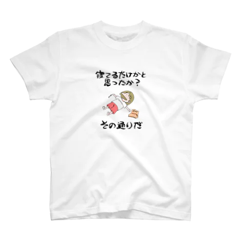 その通りだTシャツ（ぐうたらは正義Ｖer） Regular Fit T-Shirt