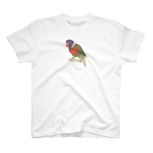 色合いが綺麗なゴシキセイガイインコちゃん【まめるりはことり】 Regular Fit T-Shirt