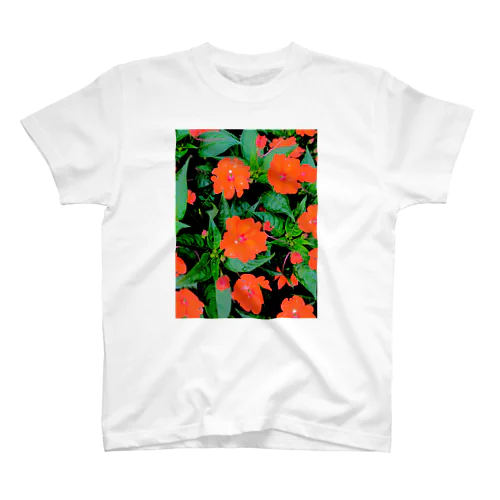 オレンジの花とグリーンの葉 スタンダードTシャツ