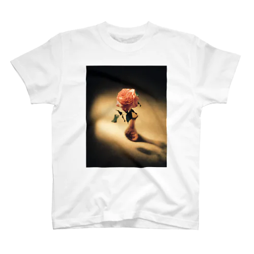 バラの花 スタンダードTシャツ