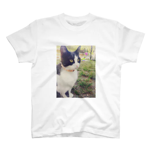 お昼のお散歩ねこ スタンダードTシャツ