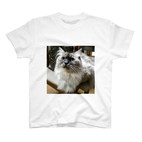 うちの猫 スタンダードTシャツ