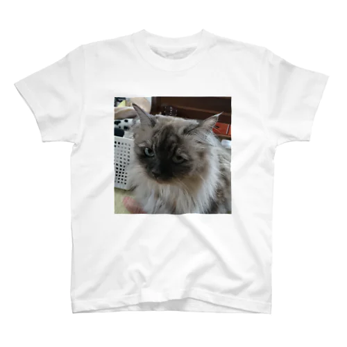 うちの猫 Regular Fit T-Shirt