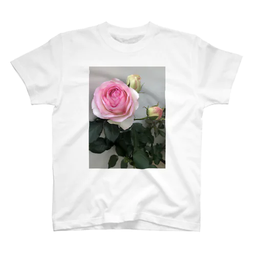 薔薇 スタンダードTシャツ