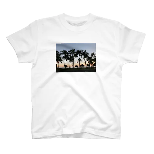 WAIKIKI スタンダードTシャツ