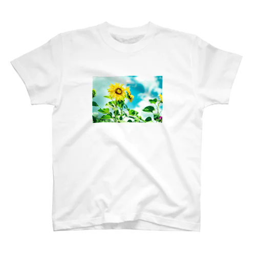 himawari Regular Fit T-Shirt