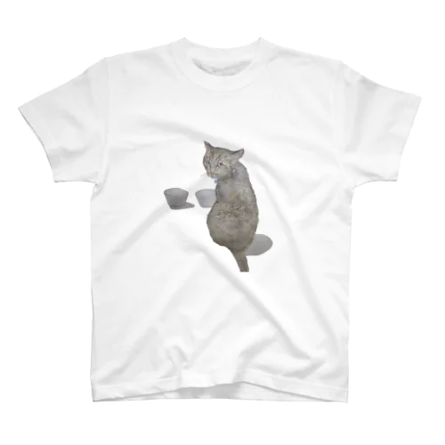 neko Regular Fit T-Shirt